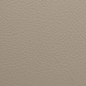 Dusty Beige 5155