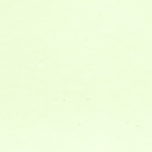 Ford-Accuride White (Code ZMGA)