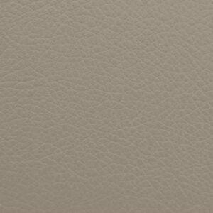Opal Gray 2729