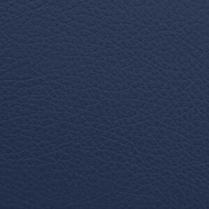 Pacific Blue 4995