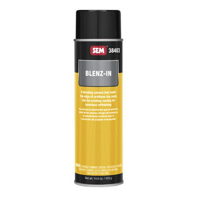 Blenz-In (14.6 Ounce Aerosol)